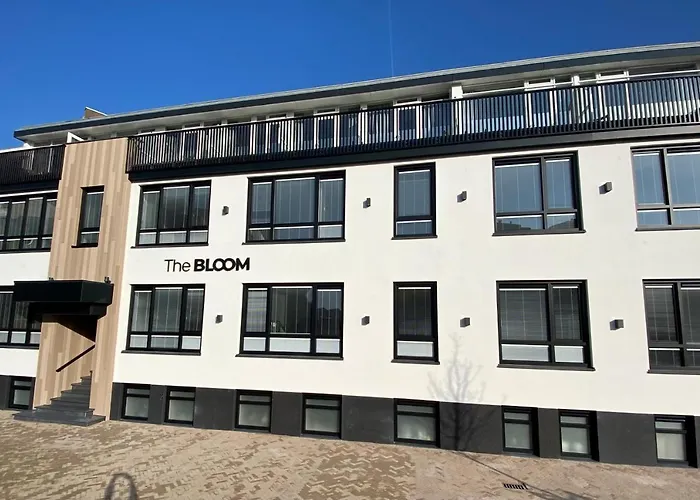 The Bloom